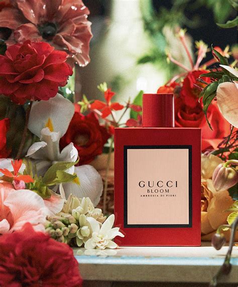 ambrosia di fiori gucci|profumo floreale gucci bloom.